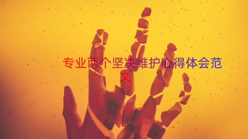 专业两个坚决维护心得体会范文（13篇）