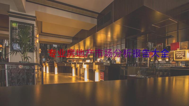 专业房地产市场分析报告大全（14篇）