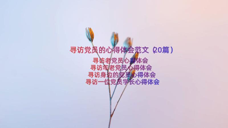 寻访党员的心得体会范文（20篇）