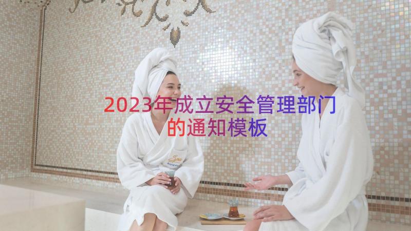 2023年成立安全管理部门的通知（模板19篇）