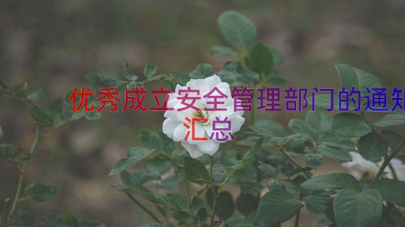 优秀成立安全管理部门的通知（汇总15篇）