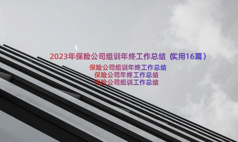 2023年保险公司组训年终工作总结（实用16篇）