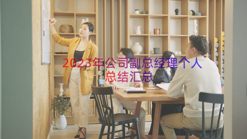 2023年公司副总经理个人总结（汇总14篇）