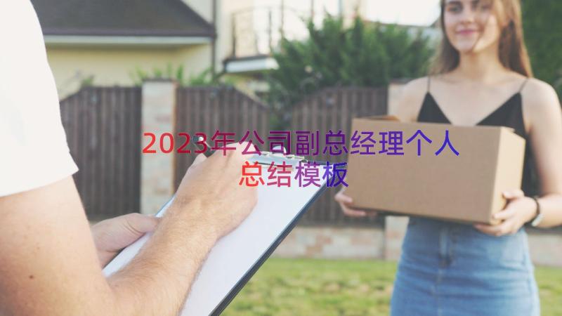 2023年公司副总经理个人总结（模板19篇）