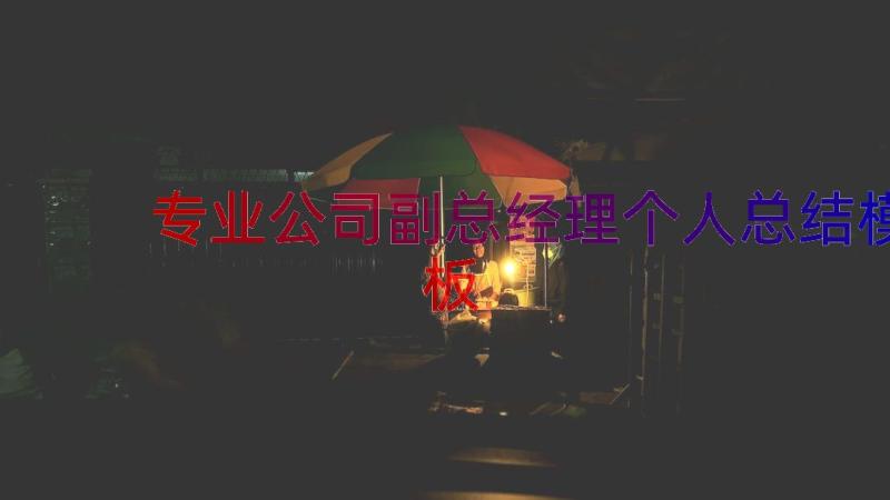 专业公司副总经理个人总结（模板17篇）