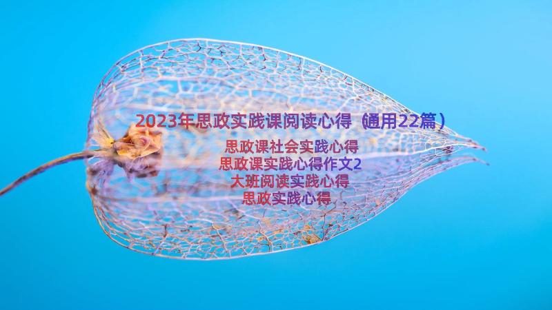 2023年思政实践课阅读心得（通用22篇）