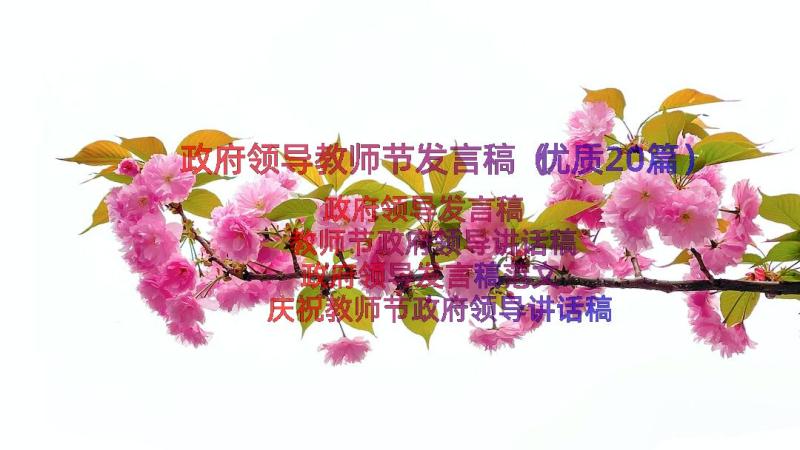 政府领导教师节发言稿（优质20篇）