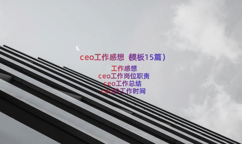 ceo工作感想（模板15篇）