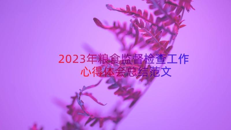 2023年粮食监督检查工作心得体会总结范文（17篇）