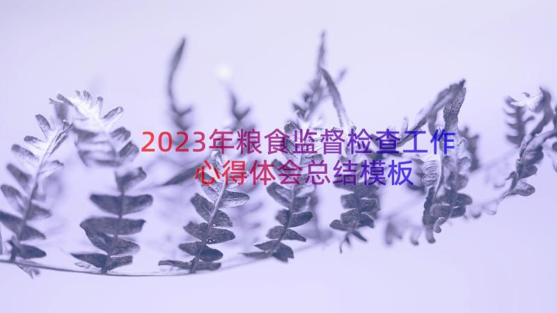 2023年粮食监督检查工作心得体会总结（模板14篇）