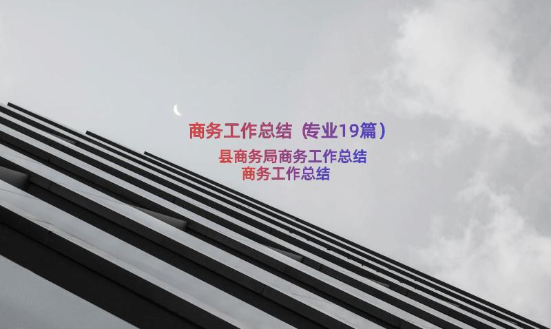 商务工作总结（专业19篇）