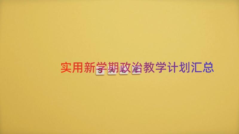 实用新学期政治教学计划（汇总14篇）