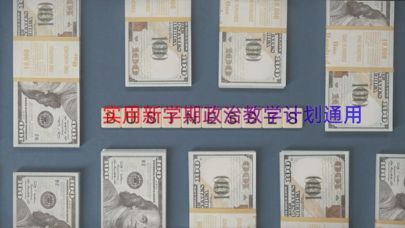 实用新学期政治教学计划（通用14篇）