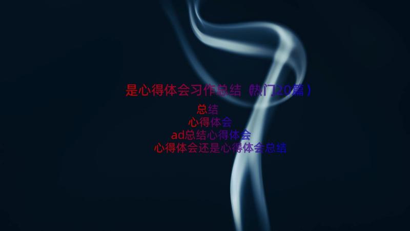 是心得体会习作总结（热门20篇）