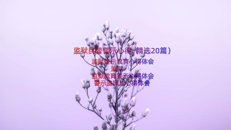 监狱民警警示心得（精选20篇）