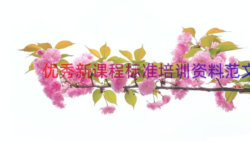 优秀新课程标准培训资料范文（12篇）