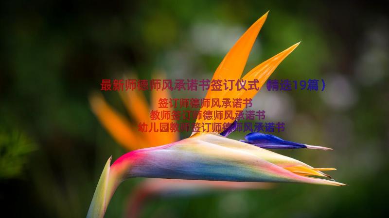 最新师德师风承诺书签订仪式（精选19篇）