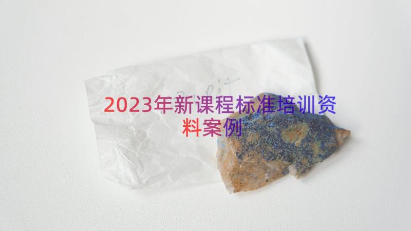 2023年新课程标准培训资料（案例19篇）