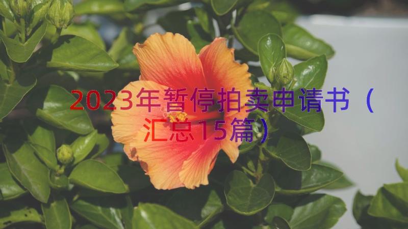 2023年暂停拍卖申请书（汇总15篇）