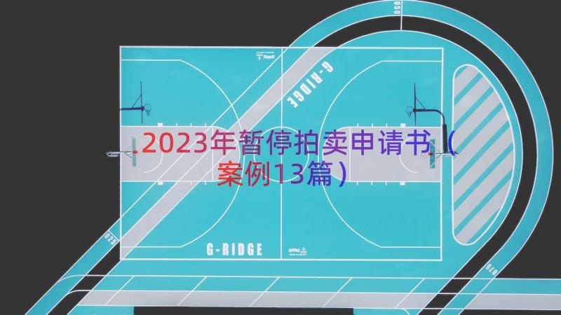 2023年暂停拍卖申请书（案例13篇）