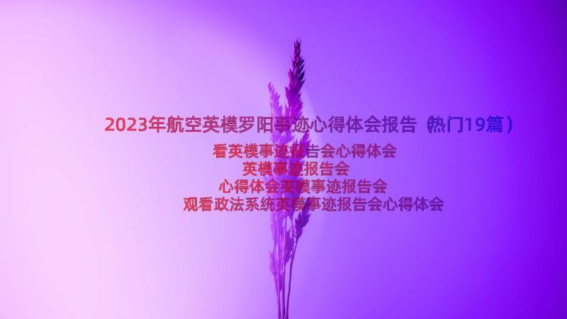 2023年航空英模罗阳事迹心得体会报告（热门19篇）