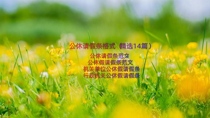 公休请假条格式（精选14篇）