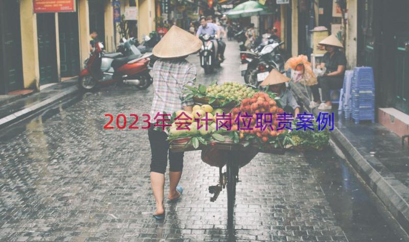 2023年会计岗位职责（案例12篇）