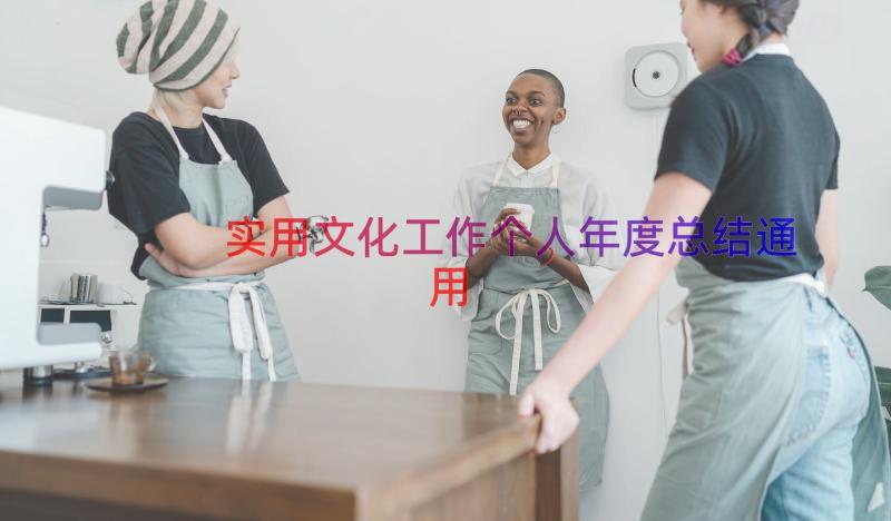 实用文化工作个人年度总结（通用16篇）