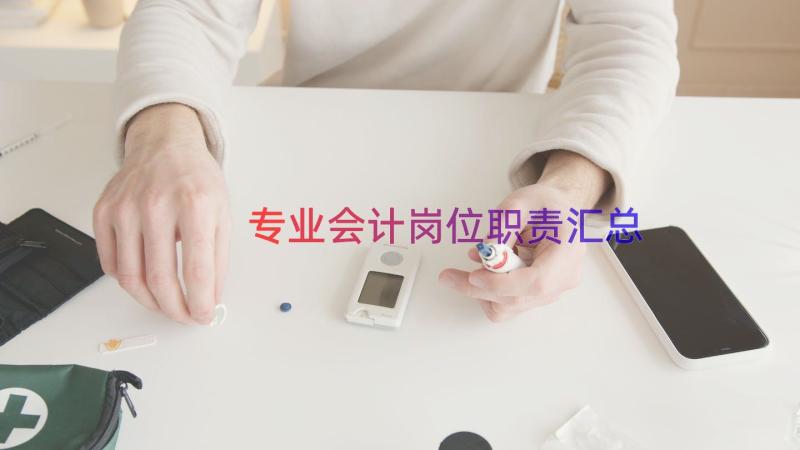 专业会计岗位职责（汇总14篇）