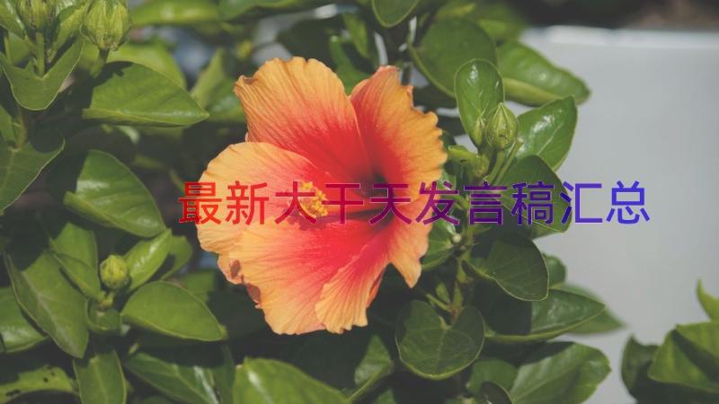 最新大干天发言稿（汇总13篇）