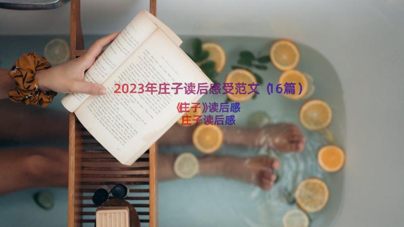 2023年庄子读后感受范文（16篇）