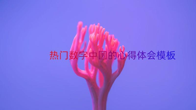 热门数字中国的心得体会（模板15篇）