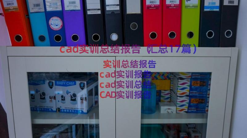 cad实训总结报告（汇总17篇）