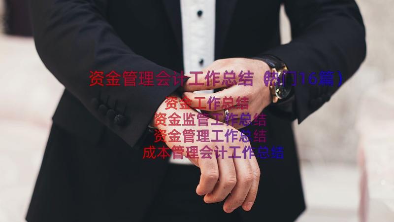 资金管理会计工作总结（热门16篇）