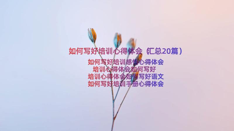 如何写好培训心得体会（汇总20篇）