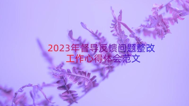 2023年督导反馈问题整改工作心得体会范文（16篇）