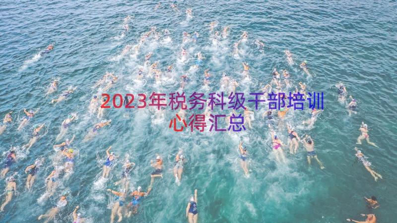 2023年税务科级干部培训心得（汇总16篇）