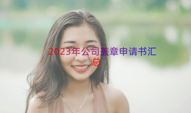 2023年公司盖章申请书（汇总14篇）