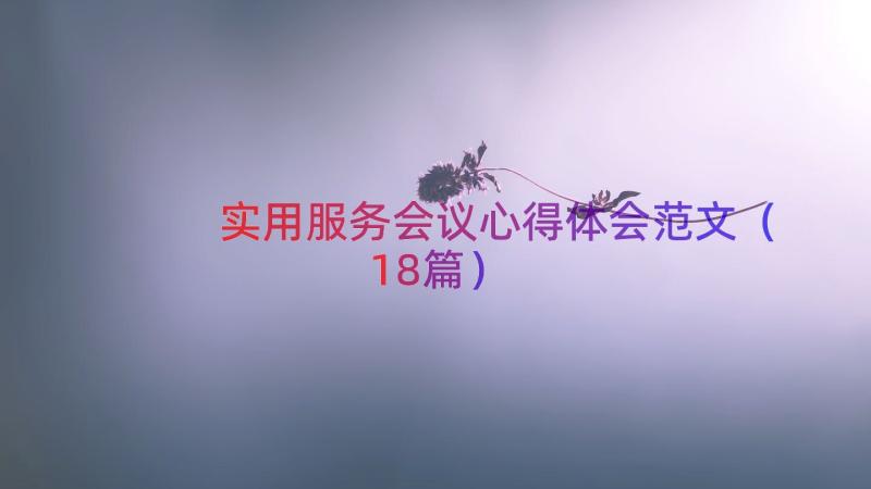 实用服务会议心得体会范文（18篇）