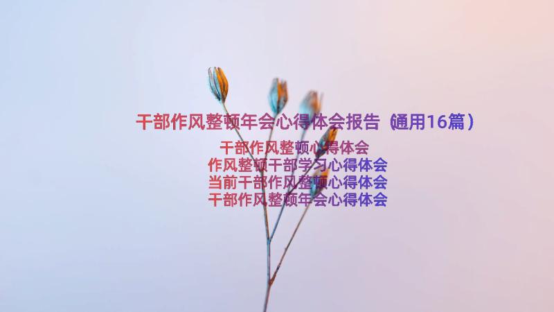 干部作风整顿年会心得体会报告（通用16篇）