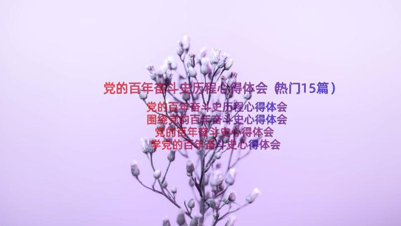 党的百年奋斗史历程心得体会（热门15篇）