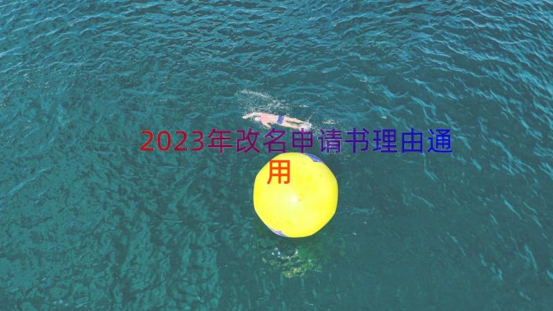 2023年改名申请书理由（通用16篇）