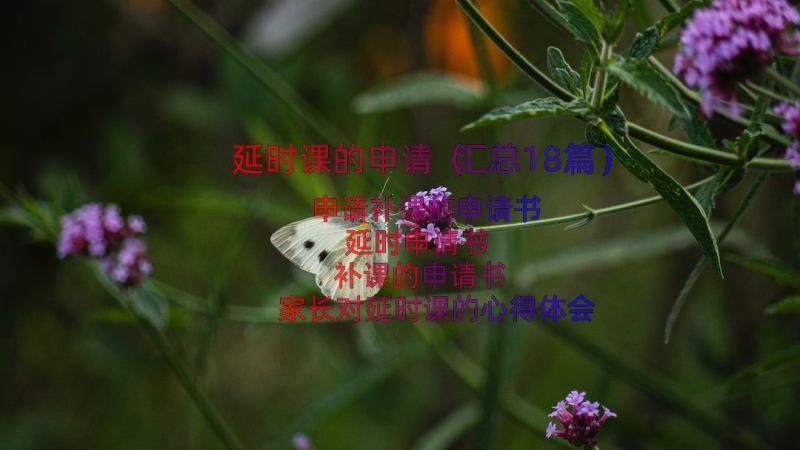 延时课的申请（汇总18篇）