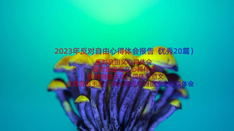 2023年反对自由心得体会报告（优秀20篇）