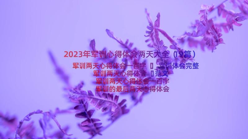 2023年军训心得体会两天大全（19篇）