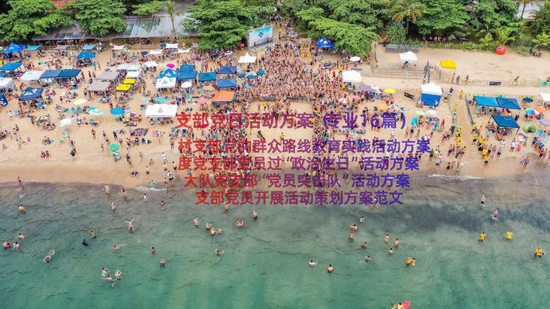 支部党日活动方案（专业16篇）