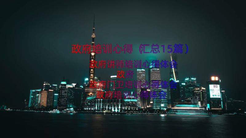 政府培训心得（汇总15篇）