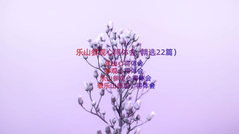 乐山参观心得体会（精选22篇）