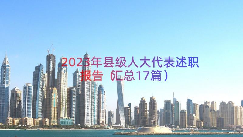 2023年县级人大代表述职报告（汇总17篇）