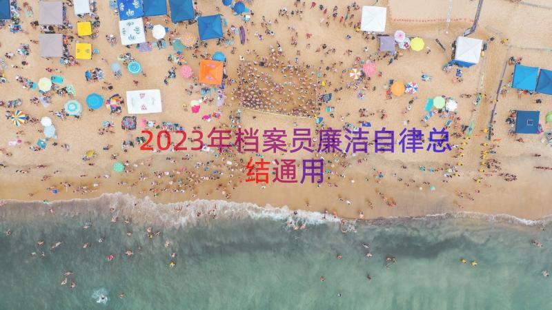 2023年档案员廉洁自律总结（通用17篇）